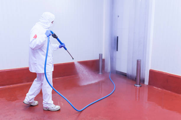 Boat and Dock Cleaning in Okemos, MI