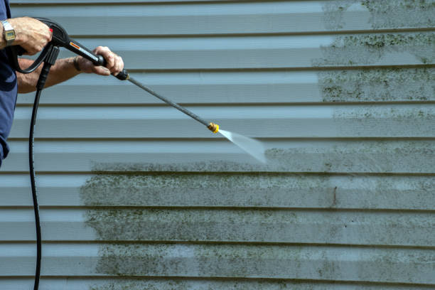 Best Roof Washing  in Okemos, MI